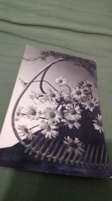 CARTE POSTALA FELICITARE CIRCULATA foto