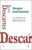 Despre Sentimente - Ren&eacute; Descartes, Carte Filosofie