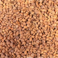 Alune Tigrate STICKY BAITS Tiger Nuts Seed Standard, 8-12mm, 1kg foto