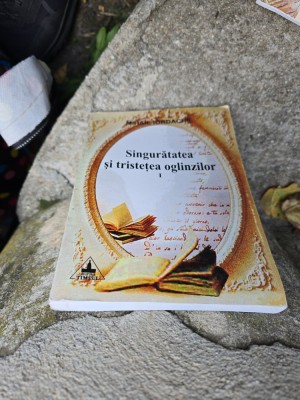 Singurătatea și tristețea oglinzilor I - Mihai Iordache foto