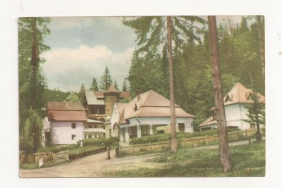 RF12 -Carte Postala- Tusnad, Case de odihna, circulata 1959 foto