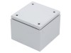 Carcasă Universală Spacial SBM IP66 150x150x120mm