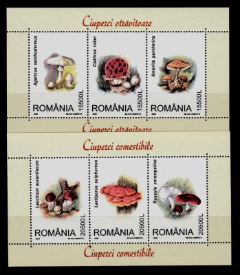 RO 2003 ,LP 1616 a , &amp;quot;Ciuperci&amp;quot; , serie triptic , colitele 332+333, MNH foto