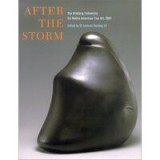 After the Storm