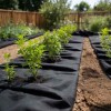 VidaXL Membrană geotextilă, negru, 1 x 10 m, fibră de poliester