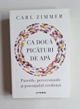 Ca două picături de apă &ndash; Aut. Carl Zimmer, Trad. Roxana I. Nicolescu, Ed. Litera, 2021