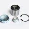 Kit Rulment Roata 49446 NGH 01.02.101
