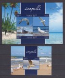 ST KITTS 2015 FAUNA PASARI PESCARUSI