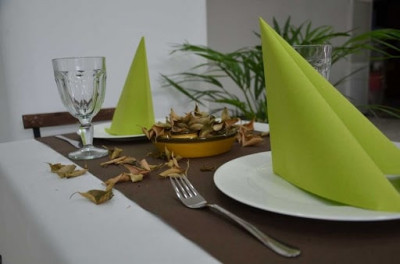 Servetele de masa festive Linclass-Light, Verde kiwi / 40 x 40 cm / 50 buc foto