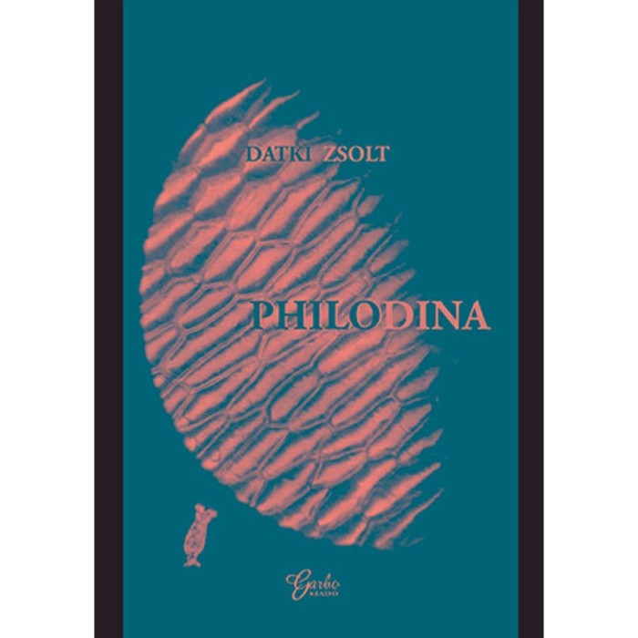 Philodina - Datki Zsolt