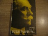 Mihai Gafita - Duiliu Zamfirescu