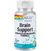 BRAIN SUPORT 60cps SECOM, SECOM HEALTHCARE