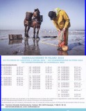 Ilustrata Belgia- Pescari de creveti calare