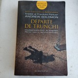 ANDREW SOLOMON-DEPARTE DE TRUNCHI-2015 X3.
