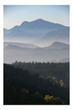 Tablou Canvas Pădure și Munți &icirc;n Ceață - Peisaj Natural Calm, 26 x 39 cm, CMCLASS