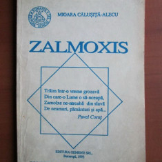 Zalmoxis - Mioara Calusita-Alecu