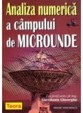 Gheorghe Gavriloaia - Analiza numerica a campului de microunde