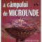 Gheorghe Gavriloaia - Analiza numerica a campului de microunde