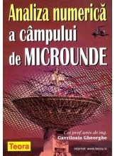 Gheorghe Gavriloaia - Analiza numerica a campului de microunde