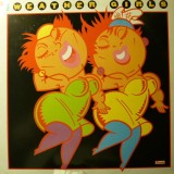 Vinil LP The Weather Girls &ndash; The Weather Girls (EX)