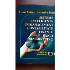 Sisteme inteligente in management, contabilitate,finante, banci si marketig