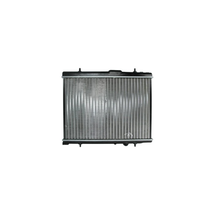 Radiator apa PEUGEOT 407 cupe 6C AVA Quality Cooling PE2266