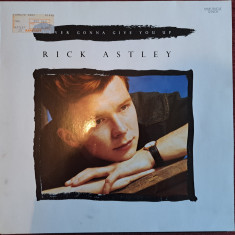 Disc Vinil Maxi Rick Astley - Never Gonna Give You Up -RCA- PT 41 448