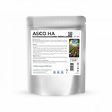 Fertilizant foliar pentru legume Asco HA 200 g, CHRD