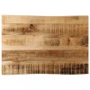 Blat masa lemn masiv mango brut 70x40 cm margine naturala rustic