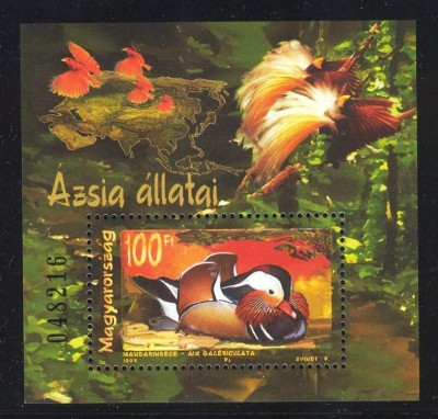 Ungaria 1999 - Fauna Asia, pasari, colita neuzata foto