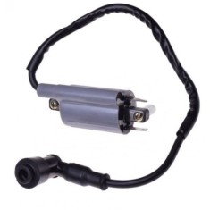 Bobina Inductie CPI Suprcross 125cc