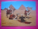 HOPCT 11055 CONDUCATOR CAMILA -PIRAMIDA KHAFRE-GIZA- EGIPT-COSTUME -AFRICA -NECIRCULATA