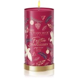 Baylis &amp; Harding The Fuzzy Duck Winter Wonderland lum&acirc;nare parfumată parfum Cranberry 390 g