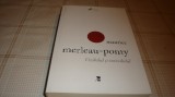 Maurice Merleau Ponty - Vizibilul si invizibilul - 2017