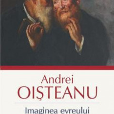 Imaginea evreului in cultura romana - Andrei Oisteanu