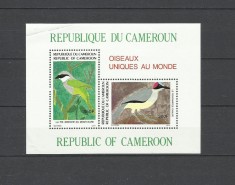 CAMERUN 1991 FAUNA PASARI - PREZINTA O INDOITURA IN COLTUL DIN STANGA SUS foto
