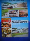 HOPCT LOT 2433 POIANA MARULUI -JUD CARAS SEVERIN-2 CARTI POSTALE-NECIRCULATE, Necirculata, Printata, Caras-Severin