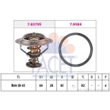 Termostat lichid racire Facet 78649