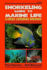 Snorkeling Guide to Marine Life Florida, Caribbean, Bahamas, Paperback/Paul Humann foto