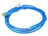 Cablu USB 2.0 A la C, 1,8m, aurit, albastru, Lanberg