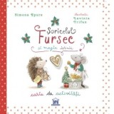 Soricelul Fursec si magia iernii - carte de activitati - Simona Epure
