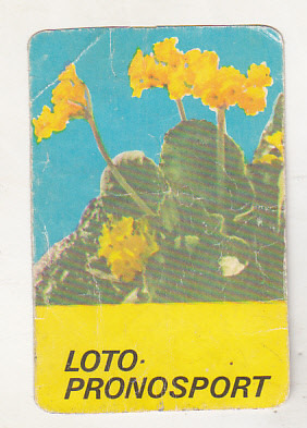 bnk cld Calendar de buzunar - 1984 - Loto Pronosport