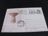 2000 de Ani Cetatea Dacică Ziridava, Fructieră Dacică Pecica-Arad, Obliterată 1981. Carte Poștală Epoca Ceaușescu