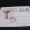 2000 de Ani Cetatea Dacică Ziridava, Fructieră Dacică Pecica-Arad, Obliterată 1981. Carte Poștală Epoca Ceaușescu