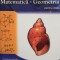 Adrian Popescu - Memorator de matematica - Geometria pentru liceu