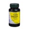 Carbo Chitosan 60cps DVR Pharma