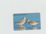 bnk card Cartele telefonice - Coreea de Sud - fauna - pasari - Great Knot (Letter K) - Col:MO9507119 (K)