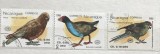 (B ) Timbre serii Straine Fauna Pasari Nicaragua, Stampilat