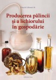 Producerea pălincii şi a lichiorului &icirc;n gospodărie - Paperback brosat - Panyik G&aacute;born&eacute; - Casa