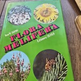 Flora melifera - Ion V. Cirnu
